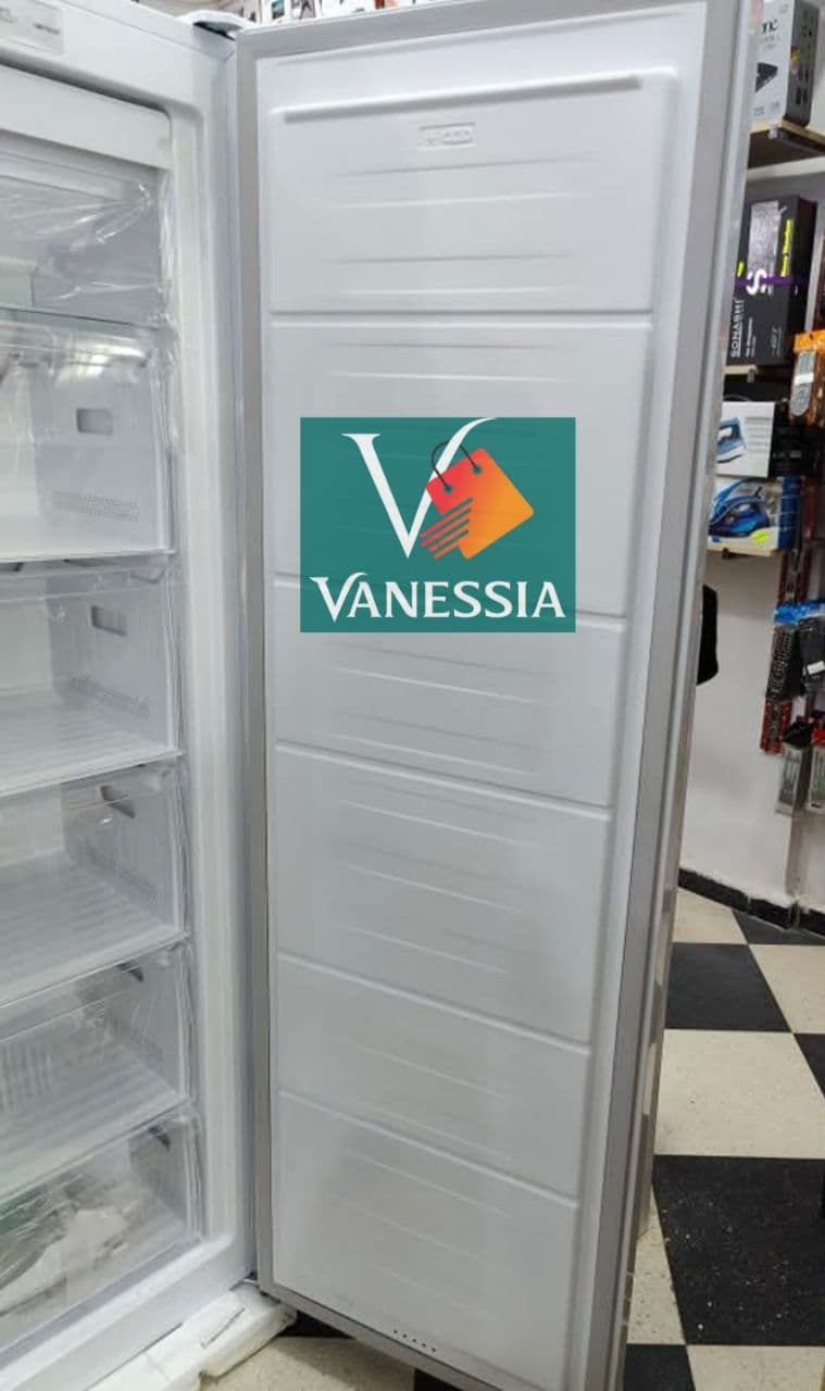 Congélateur vertical 350L marque géant